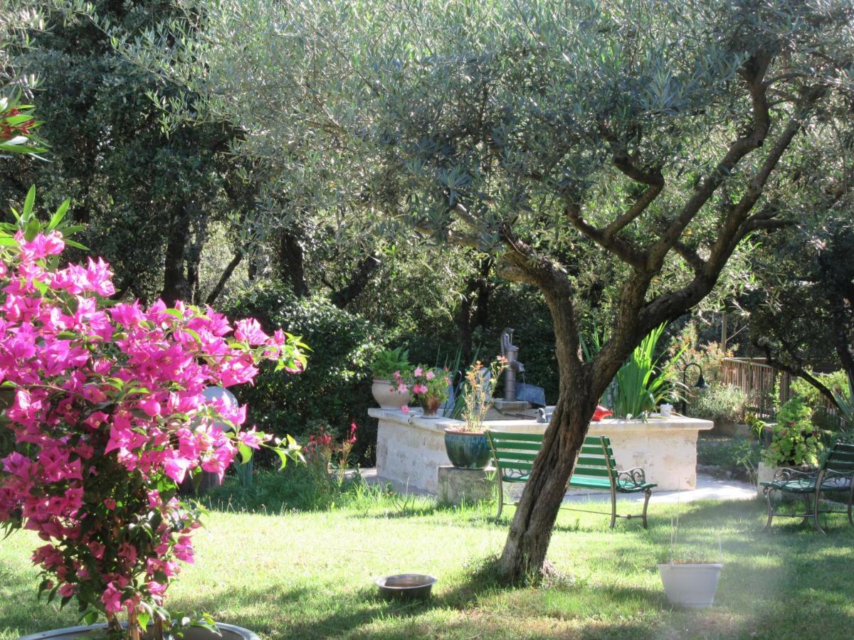 Domaine Du Bois Gite Bleuette Galargues Экстерьер фото